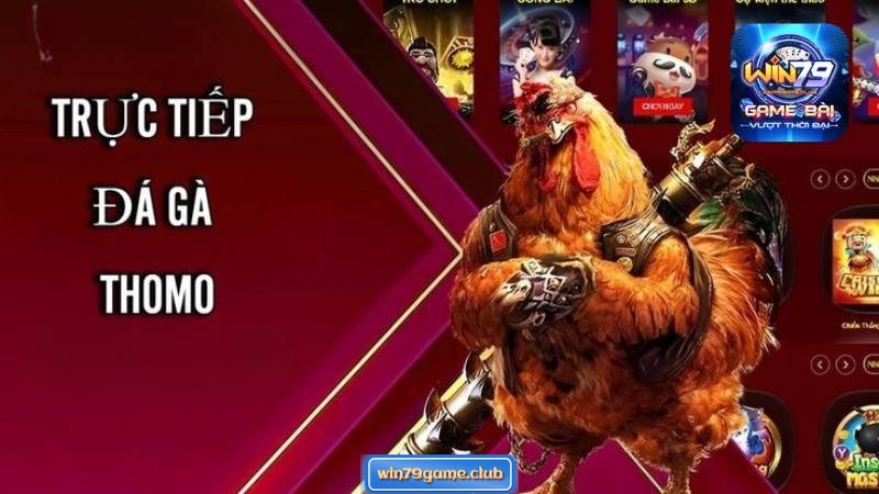 Hướng dẫn các bước tham gia đặt cược đấu gà tại cổng game