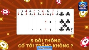 5 Đôi Thông Có Tới Trắng Không